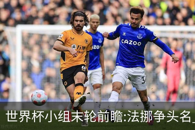 世界杯小组末轮前瞻:法挪争头名 西班牙仍不稳