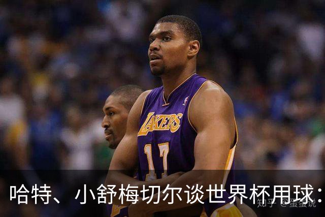 哈特、小舒梅切尔谈世界杯用球：这球肯定有问题，远射太多了