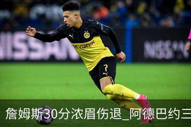 詹姆斯30分浓眉伤退 阿德巴约三双热火胜湖人